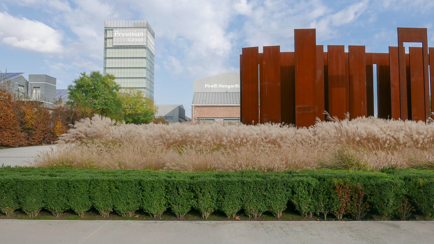 Studia alla prestigiosa Università di Milano